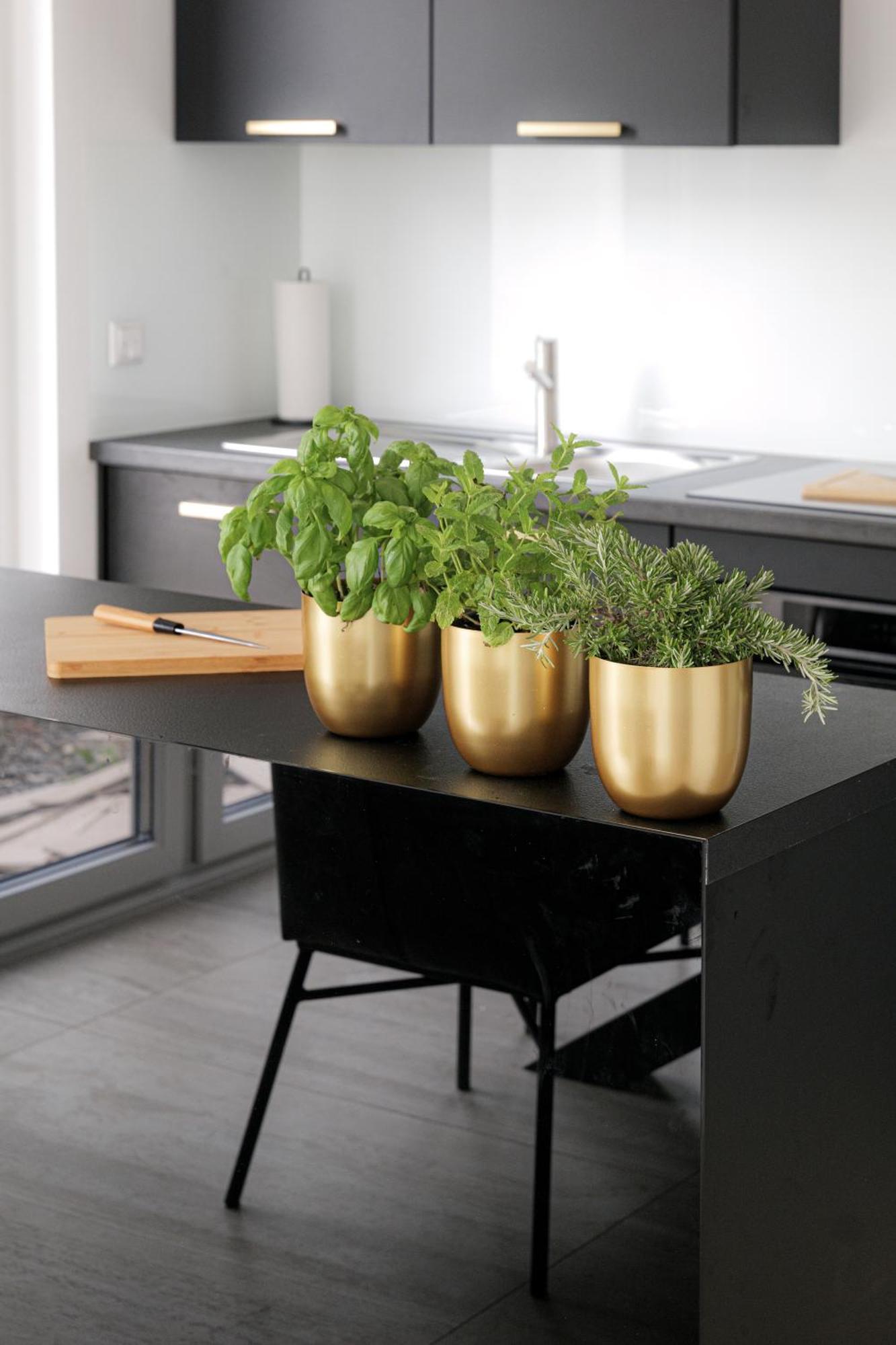 Lulex IV - Traumwohnung Terasse Garten In نيوس المظهر الخارجي الصورة